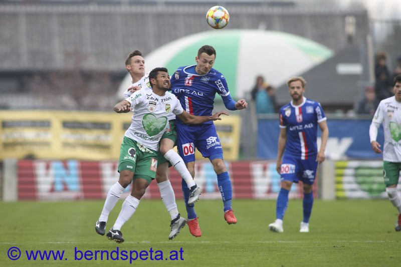 berndspeta.at-1901359