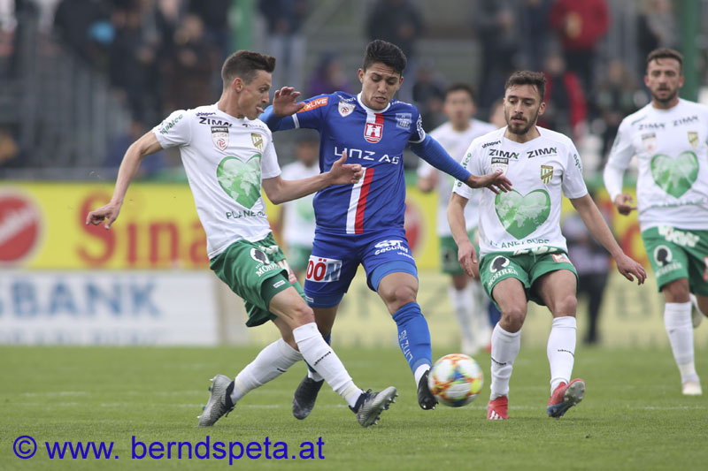 berndspeta.at-1901365