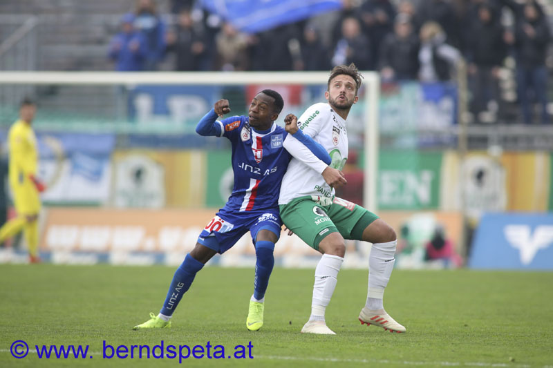 berndspeta.at-1901404