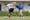 2026-07-05 testspiel bw linz frauen - fc ingolstadt 04  bernd speta-8578