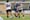 2026-07-05 testspiel bw linz frauen - fc ingolstadt 04  bernd speta-8628