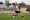 2026-07-05 testspiel bw linz frauen - fc ingolstadt 04  bernd speta-9422