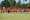 2026-06-27 testspiel sv wilhering - bw linz  bernd speta-4584