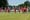 2026-06-27 testspiel sv wilhering - bw linz  bernd speta-4597