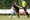 2026-06-27 testspiel sv wilhering - bw linz  bernd speta-4972